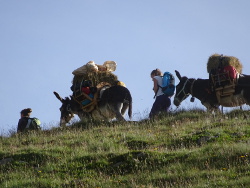  A l approche du col de la Pisse